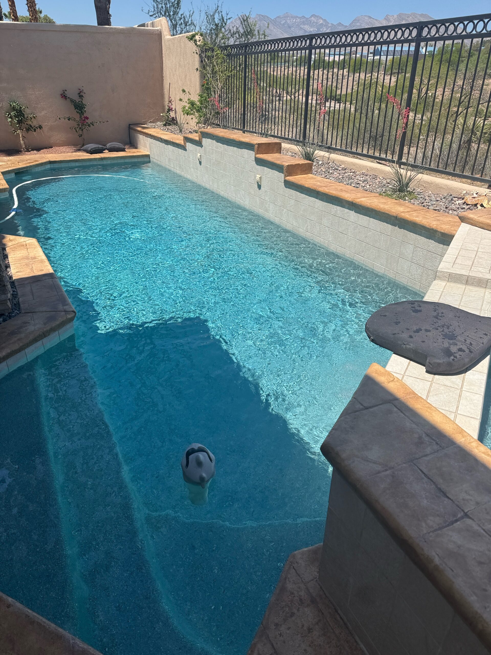 Perfectly maintained pool water , crystal clear, LSI-balanced, by Nearby Pool Service Las Vegas