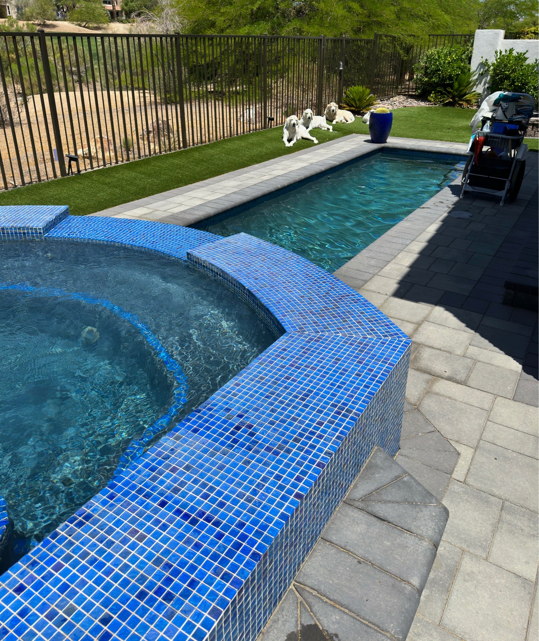 Resort-style pool and spa at a Desert Shores Las Vegas home